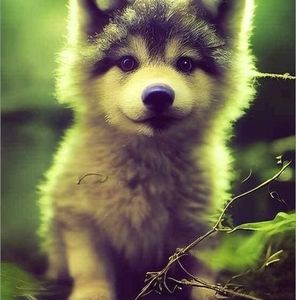 Meet your Posher, Barbara